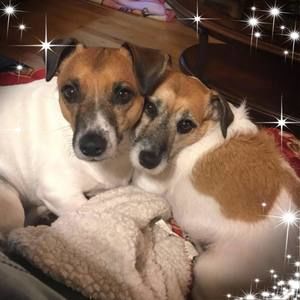 Meet your Posher, Lorraine